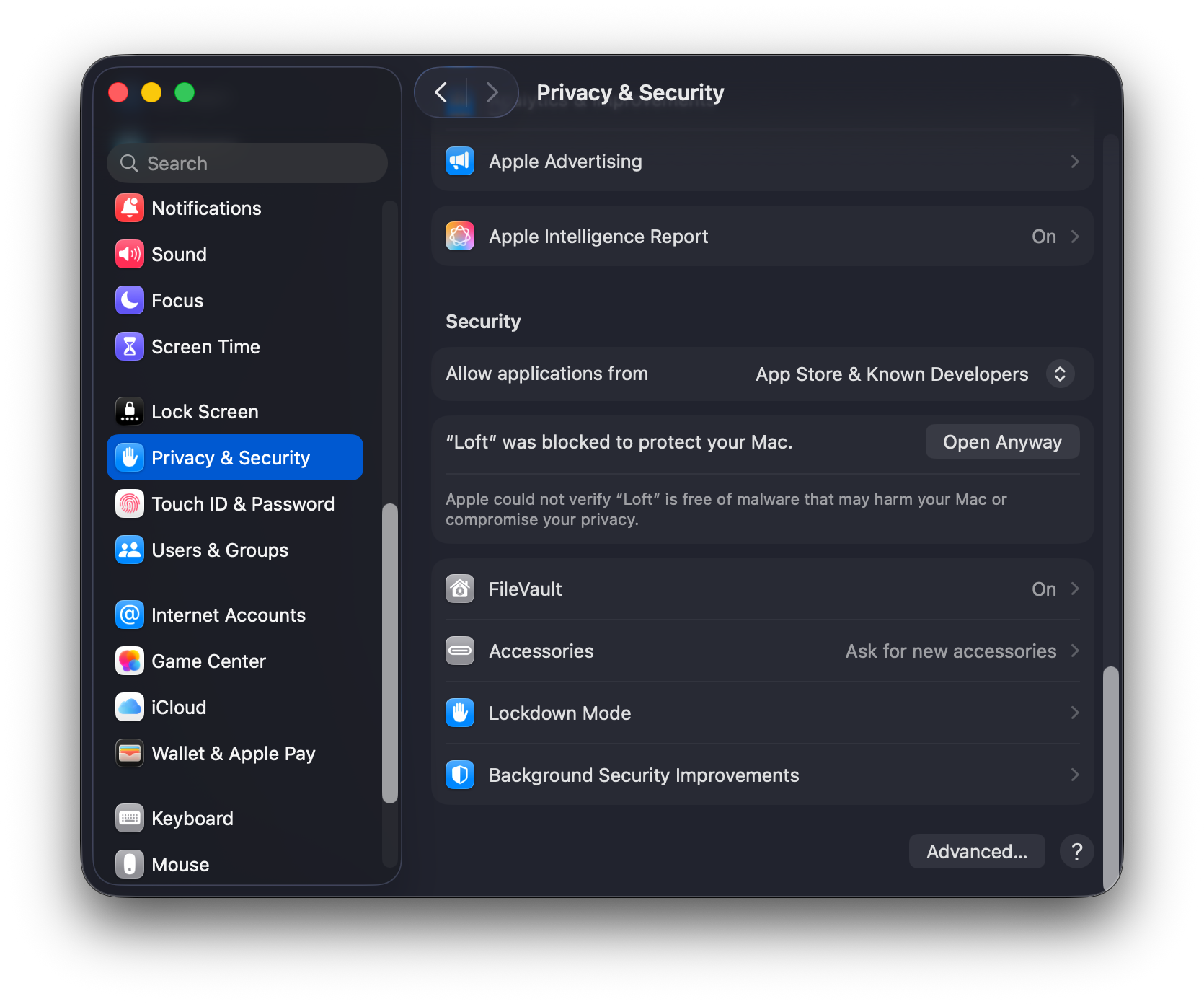 System Settings — Privacy & Security — Open Anyway